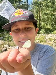 The Learning Community School