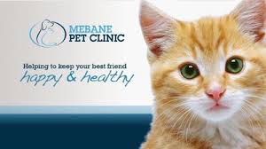 Get reviews, hours, directions, coupons and more for mebane veterinary hospital at 1938 jones dr, mebane, nc 27302. Mebane Pet Clinic 1028 Mebane Oaks Road Mebane Reviews And Appointments Topvet
