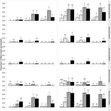 Image result for Dissotis pachytricha