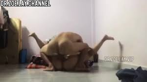 Homemade Mmk - EPORNER