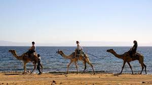 Although they rarely travelled faster than the walking speed of a person. First Arab Eu Summit Billed As Chance To Cooperate In Troubled Region Euractiv Com