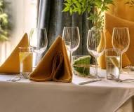 Fine Dining: How to Choose the Best Dinner Napkins | Alsco