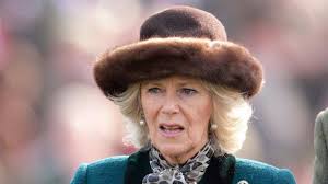 Why was Queen Camilla not known as the Princess Of Wales?