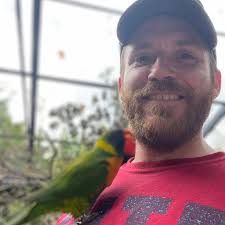 Why are my aircraft suddenly disabled in career mode?