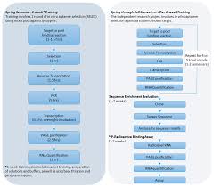 Sensors Free Full Text Aptamers In Education