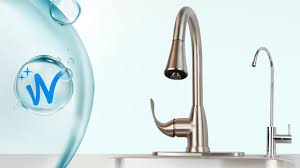 Filtered water tap kitchen sink. Installing A Ro Drinking Water Faucet