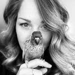 Robyn Hadley's Instagram, Twitter & Facebook