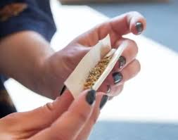 MT tem 3&ordm; maior &iacute;ndice de uso de maconha entre estudantes de 13 a 17 anos, diz  IBGE - Marreta Urgente