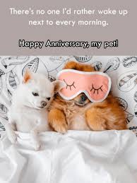 The words, i do have everlasting effect in the lives of newlyweds. Funny Anniversary Cards Funny Happy Anniversary Greetings Birthday Greeting Cards By Davia Free Ecards