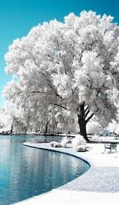 33 Breathtaking Places You Must Visit Before You Die Summer Nature Photography Green Art Nature Photography Flowers