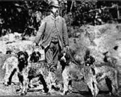 However, they are still extremely good at their jobs, unparalleled in the field. Wirehaired Pointing Griffon Korthals Griffon Breed Info Images