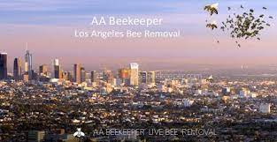Depending on your location, there are multiple choices of bee removal services, both paid and free. Los Angeles Bee Removal Los Angeles Live Bee Removal Service