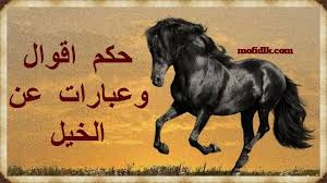 حكم عن الخيل اقوال وعبارات مكتوبة ومعبرة وجميلة عن الخيل موقع مفيد لك