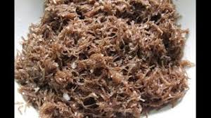 Wheat halwa recipe in tamil | raji's kitchen. Sweet Ragi Sevai Recipe In Tamil Ragi Semiya Sweet Recipe Ragi Vermiceli Sweet Healthy Ragi Semiya Youtube