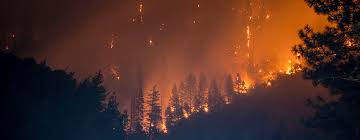 La expresión 'cambió climático' se ha extendido por todo el mundo y, con ella, la insinuación de una pavorosa amenaza que cambio climático: El Cambio Climatico Avanza Implacablemente A Pesar De La Pandemia Covid 19 Advierten Los Cientificos Noticias Onu