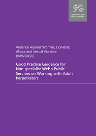 Https Gov Wales Sites Default Files Publications 2019 11 Violence Against Women Domestic Abuse And Sexual Violence Public Services Good Practice Guide Pdf