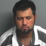 HEALEY, MARION SPENCER