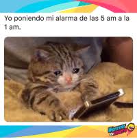 Si pones una alarma online puedes utilizarla como despertador o como aviso con sonido para finalizar alguna tarea en el trabajo por ejemplo. Yo Poniendo Mi Alarma De Las 5 Am A La 1 Am Werever Morro Fu 5 Am Meme On Me Me