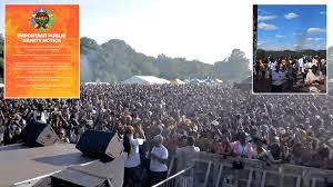 Ghana Party in the Park: African festival in London descends into chaos  with attendees 'carried out on stretchers' after stampede