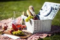 Resultado de imagen para origen desarrollo evolución picnics