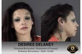 Felony Theft and Drug Possession Land Woman in Hot Water