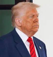 Jeff Fleischmann ☮️ 🌊