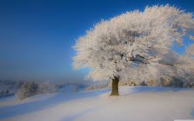 Download winter landscape wallpaper |. Winter Landscape Wallpapers Top Free Winter Landscape Backgrounds Wallpaperaccess