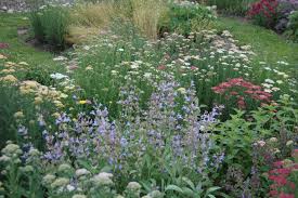 Many herb blossoms beckon pollinators, including beneficial insects that prey on bad bugs. Herb Garden Design Advice From The Herb Lady