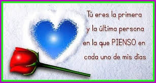 Rosas Con Frases Bonitas De Amor Para Dedicar A Mi Novia Tarot Watering Globe Amor