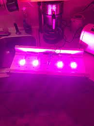 Homemade led grow lights using christmas lights. 20 Homemade Led Grow Lights Ideas Led Grow Lights Grow Lights Led Grow