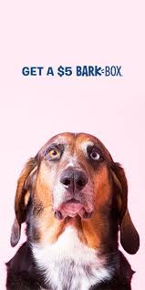 Only Five Human Dollars For Monthly Toys Treats Made By Us Tested By Our Dogs Loved By Yours Cute Funny Animals Cute Baby Animals Funny Dog Memes