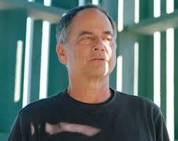 La horrible plaga que provoca que las estrellas de mar se coman entre sí