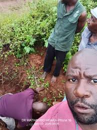 Justice for abused dog in Mire community