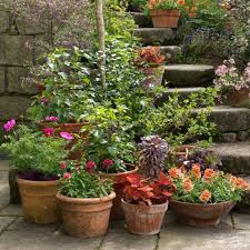 Your options for plant containers is limitless. Container Gardening Five Tips For Creating Brilliantly Coloured Pots