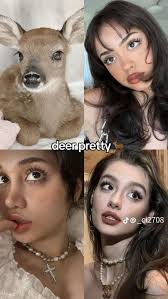 Deer pretty