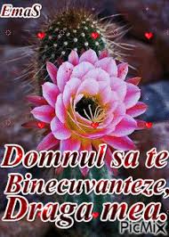 Viata noastra este o binecuvantare, o binecuvantare de care, noi din pacate, uitam de cele mai multe ori, mai ales la suparare. Dumnezeu Picmix