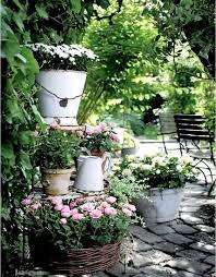 pin on flowers and gardens