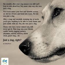 They Are Never Just A Dog Dog Poems Pet Remembrance Dog Quotes
