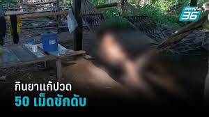 ดู pptv hd ทีวี.กูชิว ดูทีวีออนไลน์ จอใหญ่ๆ ชัดแบบ hd ช่อง3, ช่อง5, ช่อง7, ช่อง9, ทีวีไทย, gmm25, pptv, และอื่นๆอีกมากมาย Testicular Abscess A Man Takes 50 Pain Medication And Kills Him Pptv Hd 36