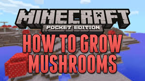 There are 4 different ways to obtain red mushrooms: How To Plant Grow Mushrooms Minecraft Pocket Edition Tutorial Youtube