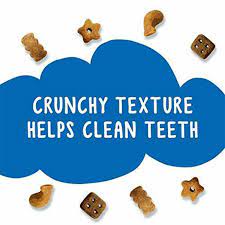 Friskies Party Mix Crunch Beachside Adult Cat Treats Pets Station