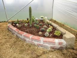 Right shows what happens when you put a new plant down in a yard with wrapping the cactus in wadded up newspaper stuffed tightly into plastic bags can work well, too (though very large cacti will still stab you through multiple. How To Plant Cactus In Ground A Step By Step Guide Succulent Alley