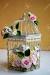 Bird Cage Drawing