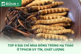 Top 8 Địa Chỉ Mua Đông Trùng Hạ Thảo Ở TPHCM Uy Tín