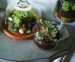 Easy Tips And Making Process For Diy Terrarium Projects Diyever How To Make Terrariums Terrarium Diy Terrarium