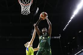 Storm deal Howard, Whitcomb; acquire Harrigan and Samuelson