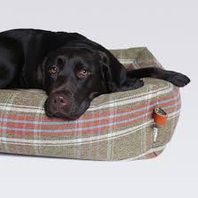Black And White Plaid Dog Bed The Elegant Dog Bed Cloud7 Sleepy Deluxe Plaid Green The Perfect High Quality Bed For Dogs That Love To Curl Up And Designer Dog Beds Dog Bed Elegant Dog Beds