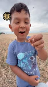 Uribe Honey Bees (@thecaliforniabeekeeper) • Instagram photos and videos