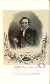 Image result for Allophylus fulvotomentosus