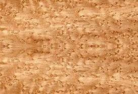 Birdseye Maple My Favorite Wood Wood Texture Beautiful Wood Burled Wood